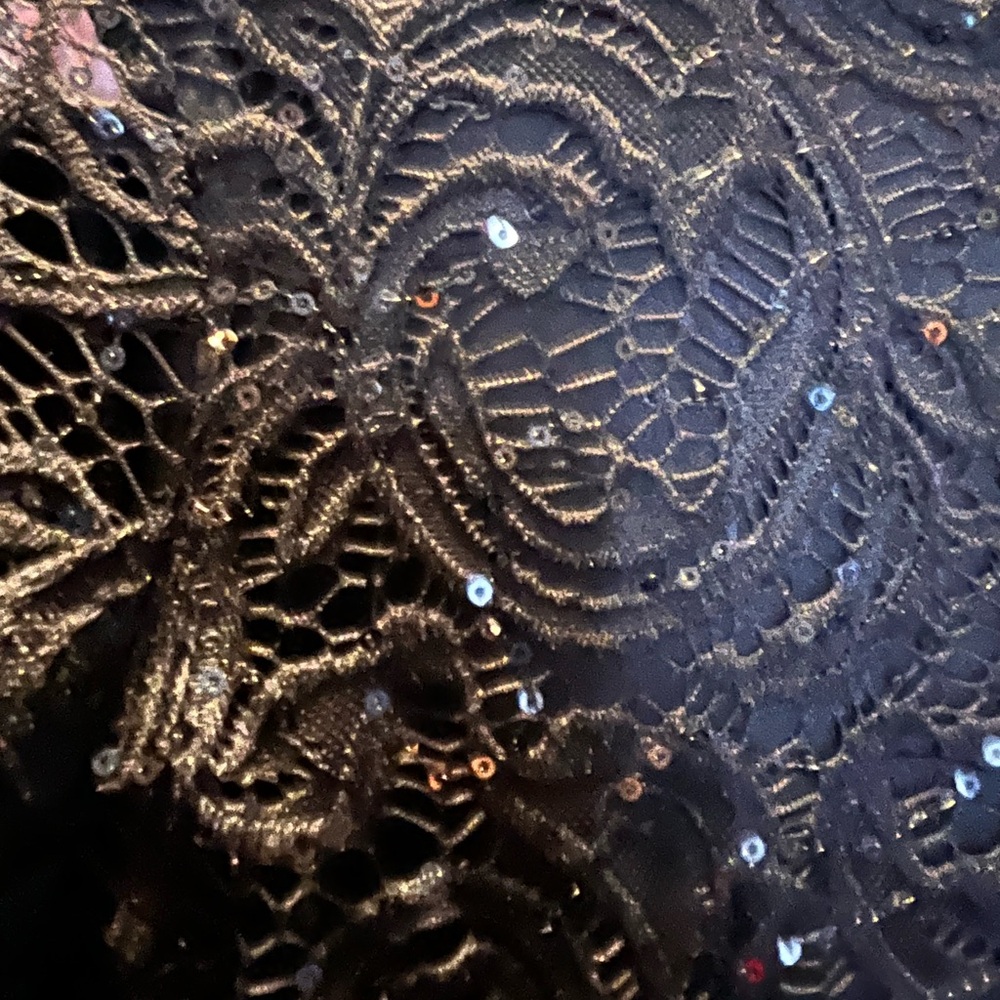 Elegant Black Lace Sequin dress